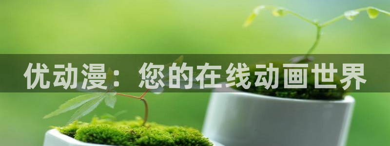 动漫剧情