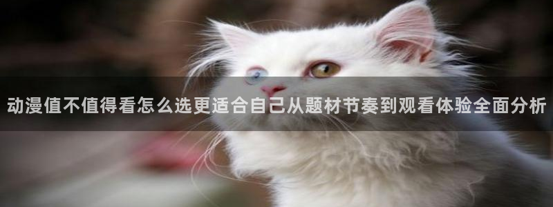 玄幻动漫推荐