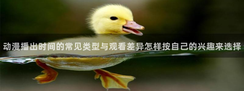 国产动画