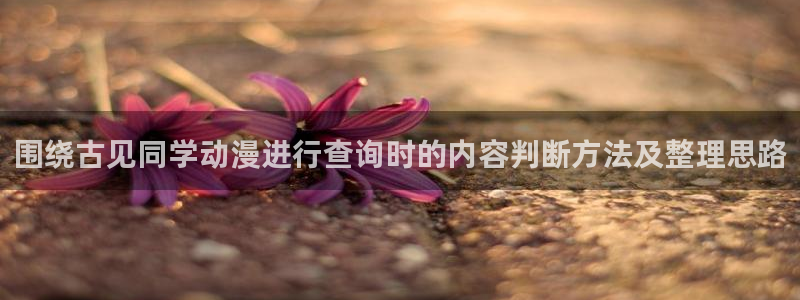 动漫查询