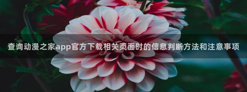 动漫作品分类