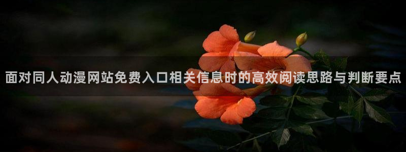 动漫大全网站