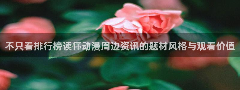 找动漫