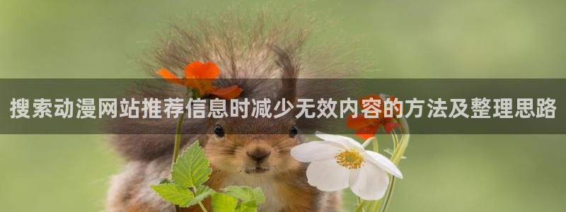 动漫网页
