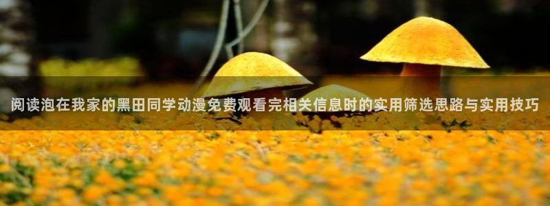 热门动漫排行榜
