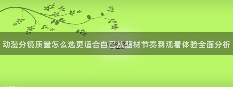 动漫热度榜
