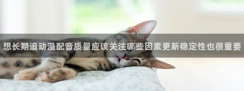 热门连载动漫