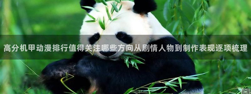 动漫评分